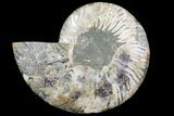 Cut Ammonite Fossil (Half) - Agatized #79154-1